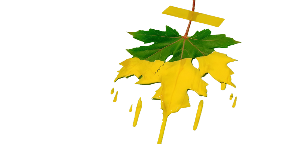 Agaram Paints Pvt Ltd