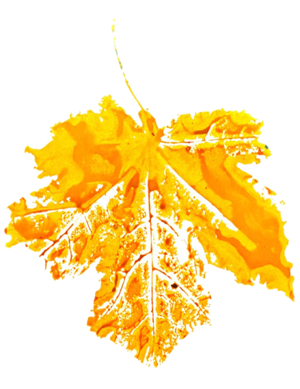 Agaram Paints Pvt Ltd